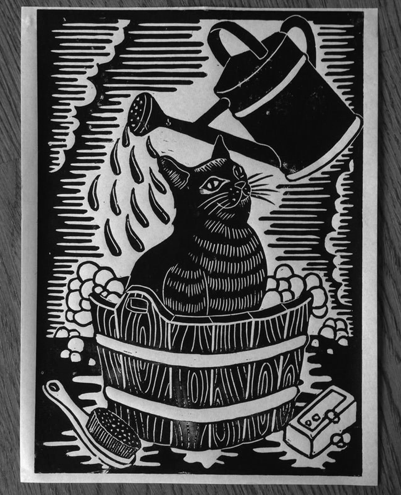 Cat bath