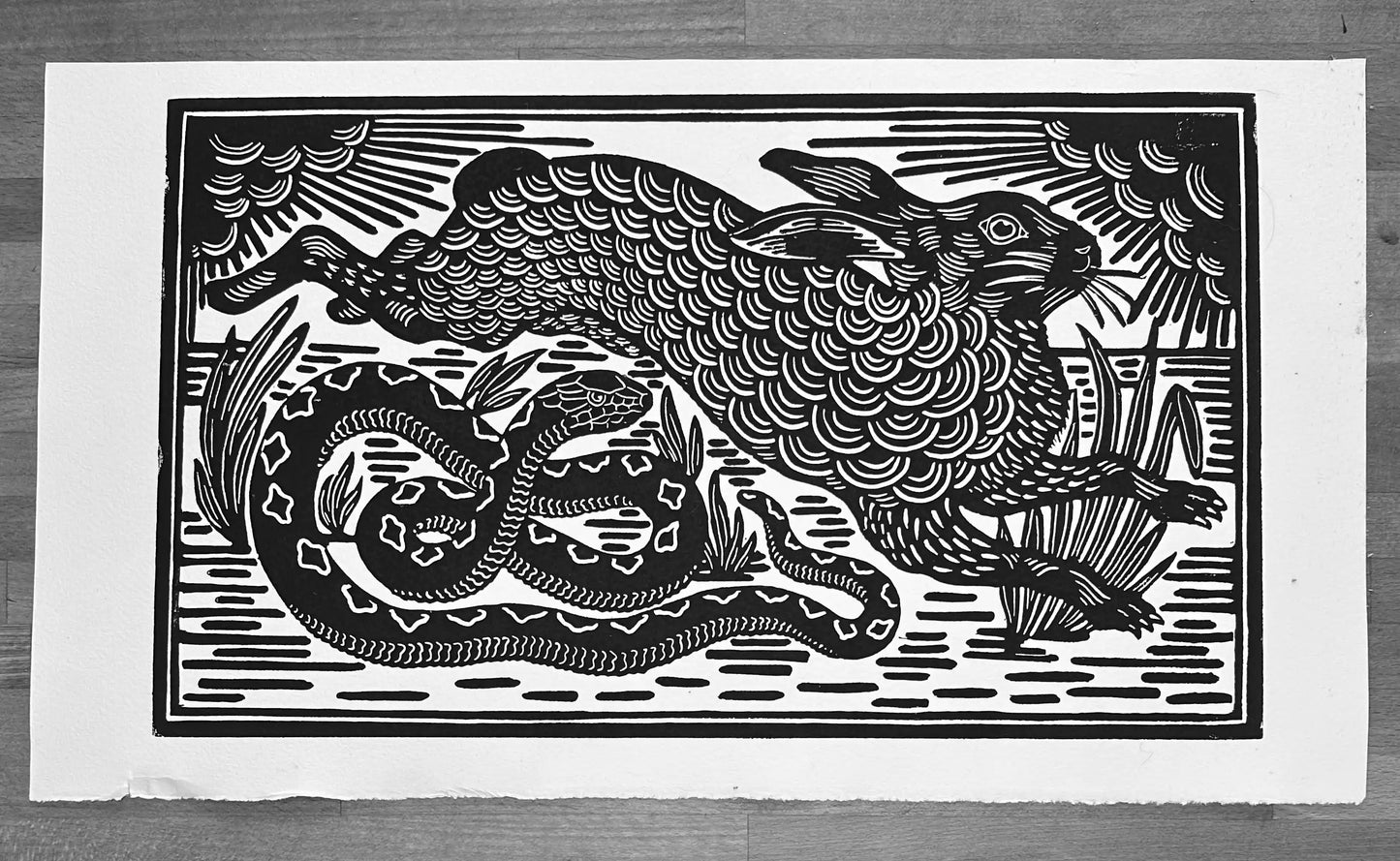 Hare and snake