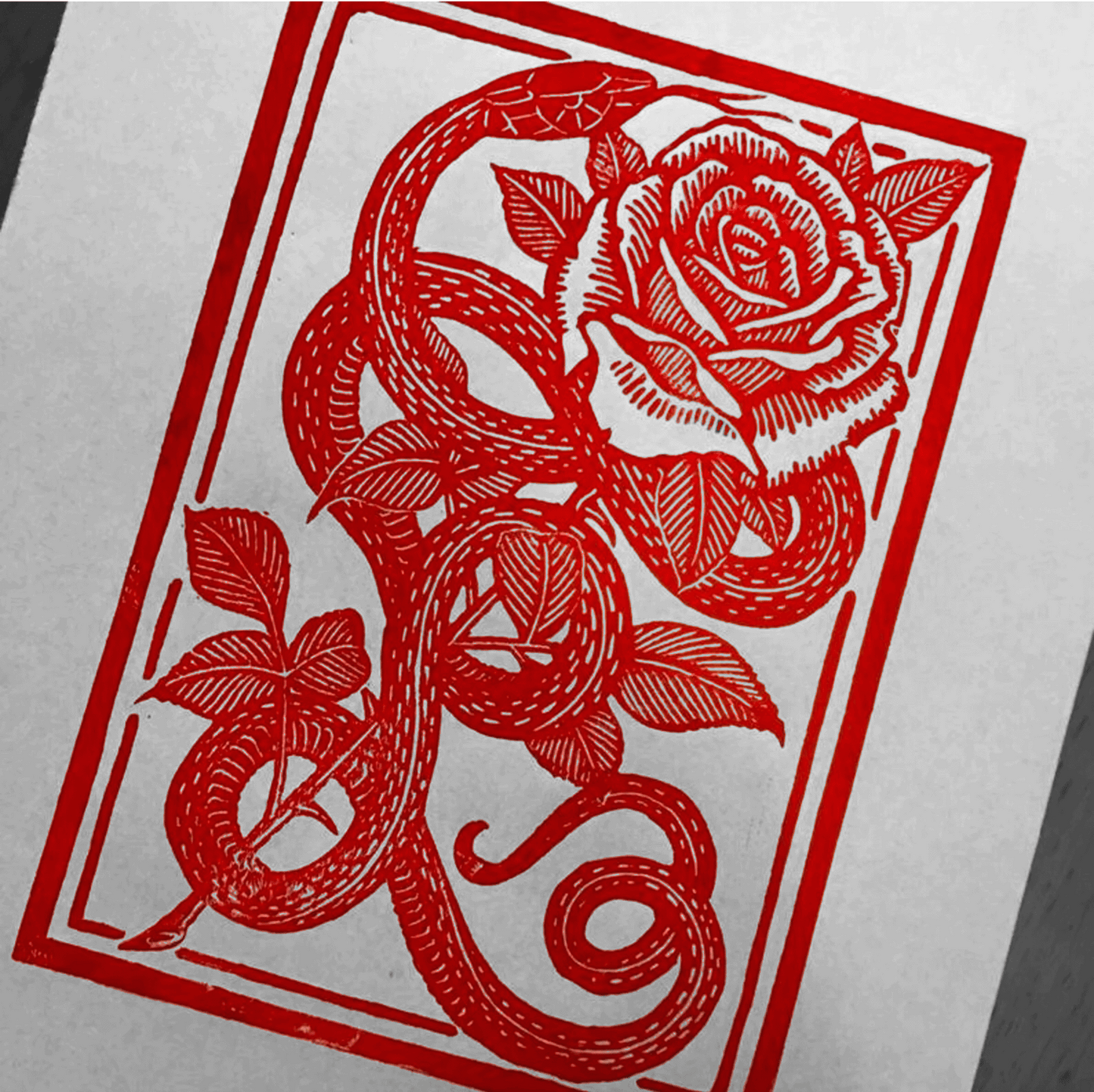 Rose and snake