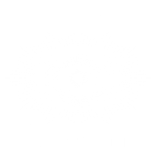 Jack Ankersen